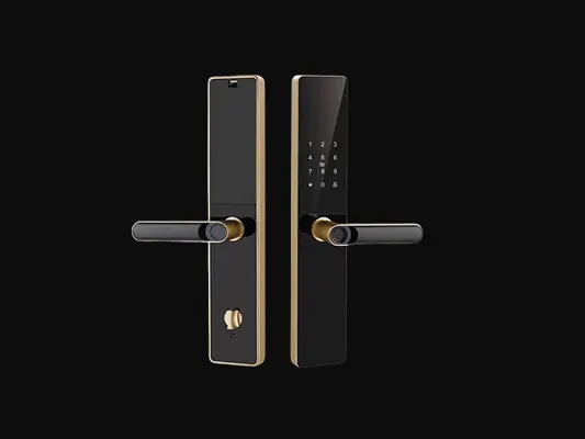 Professional installing smart lock